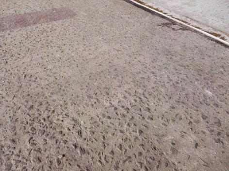 Máy trộn bê tông giá rẻ: Và những sự cố hay gặp