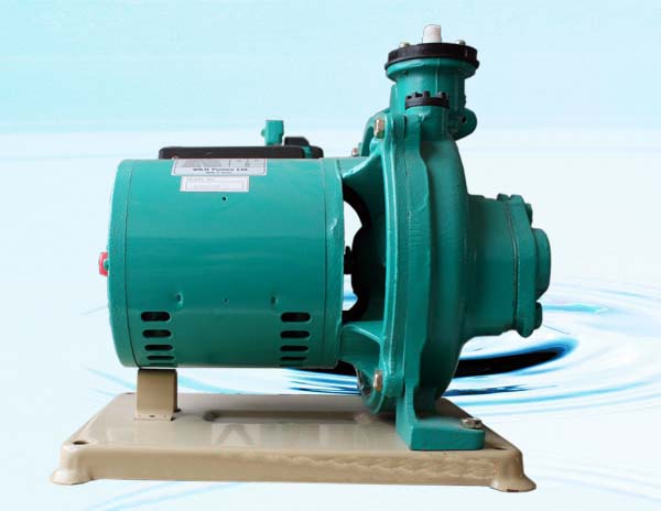 Máy bơm nước gia đình - 6 sự chọn hoàn hảo dành cho bạn (phần 2)