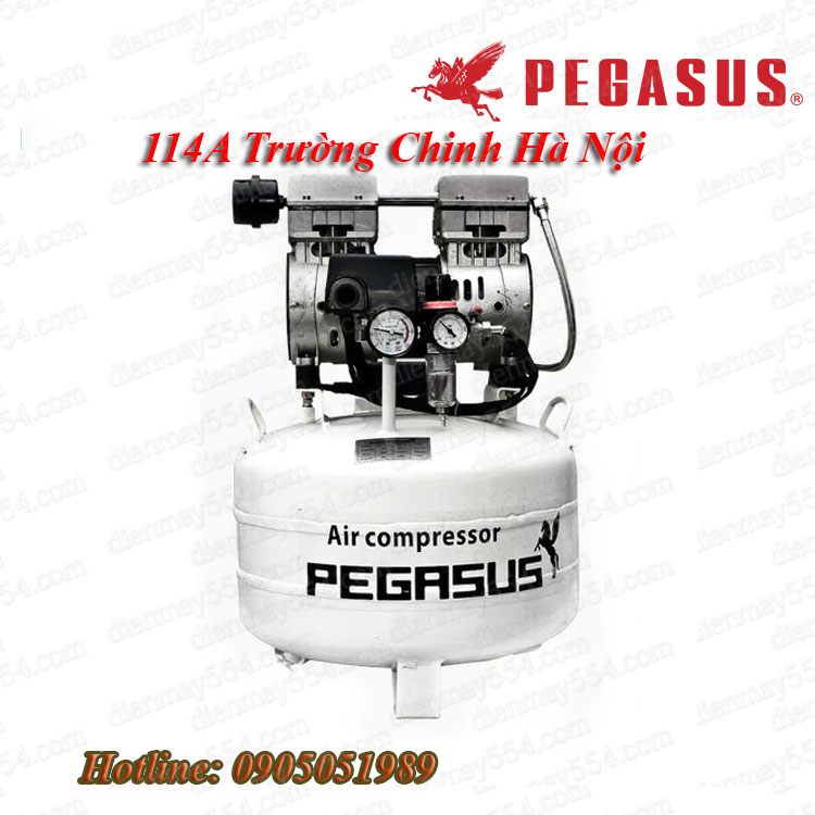 Máy nén khí không dầu giảm ấm Pegasus- Giới thiệu tổng quan