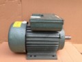 Động cơ điện Trường Mạnh 2.2kw 1 fa
