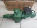 Máy bơm họng súng SEALAND JB150 1.1kw